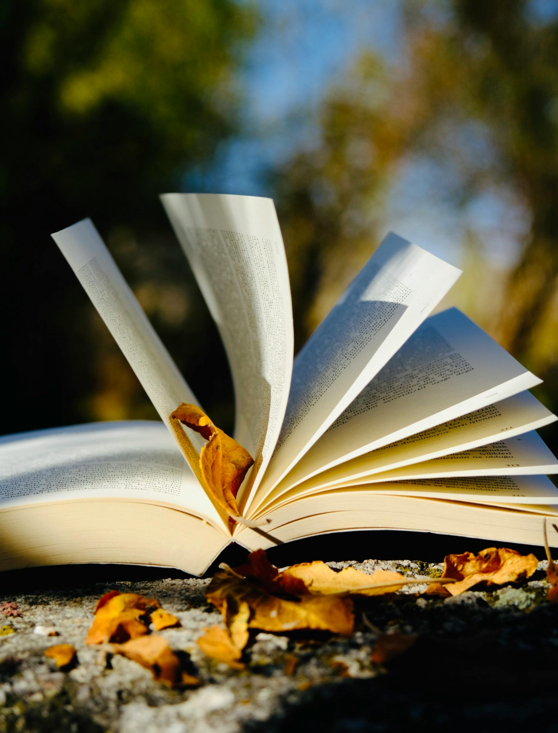 Services An open book with autumn leaves on a stone surface, captured outdoors in bright sunlight.